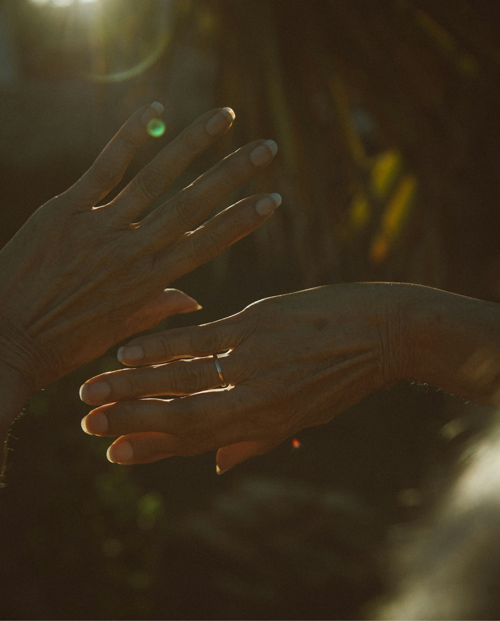 Hands in the sunlight