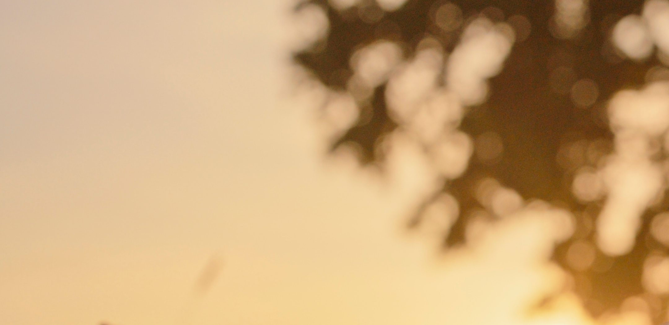 Blurry background