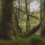 Liv branding film