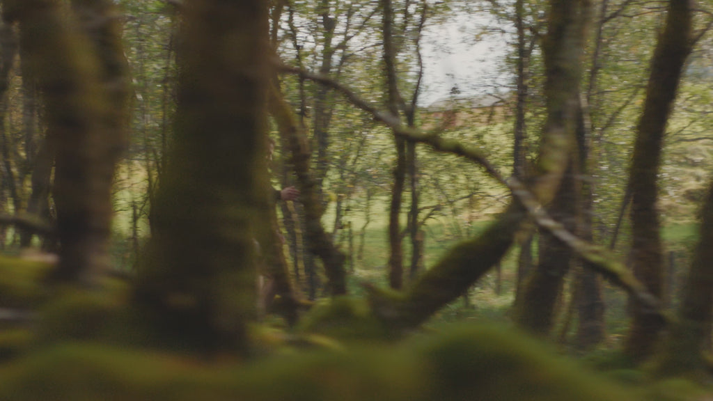 Liv branding film